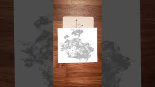 How AI models see the world.