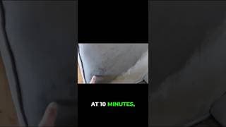 Stop Cleaning Your Couch WRONG! (The Test Spot You’re Skipping)