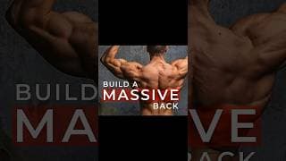 Here’s how to optimize your back training.