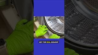 Washer Smells? Check THIS Hidden Spot (Door Seal Fix)
