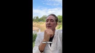 I Bet You Didn't Know This About Deodorant