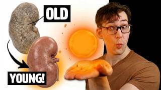 Multiple Organs suffer from ‘Ferro-Aging’ - One Vitamin Stops It