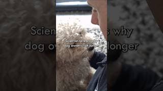 Scientist Explains Why Dog Owners Live Longer