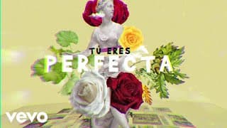 Luis Fonsi, Farruko - Perfecta (Lyric Video)