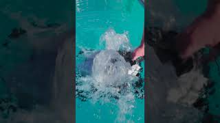 FINALLY! A robotic pool cleaner with REAL mapping capabilities. #Dreame #DreameZ1Pro #DreameZ1