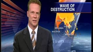 www waveofdestruction org CH9 Australia 28 12 2004 Nightline wmv