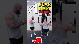 BEST Rear Delt Exercise? #bodybuilding #musclebuilding