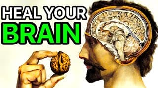 7 Foods That Boost Your Brain, You Can't Stop Being Smart