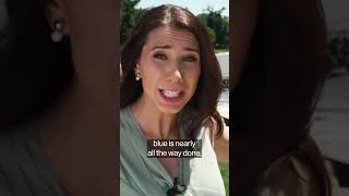 Trump’s costly reflecting pool renovation#shorts #trump #reflectingpool