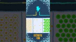 Did the cold just ruin your phone forever?