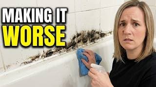 Why Shower Mold Keeps Coming Back Even After Cleaning