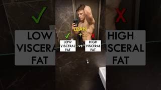 Low Visceral Fat vs High Visceral Fat