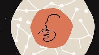 Turning Claude into your thinking partner