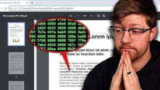 They're hacking PDFs now
