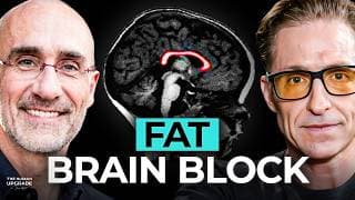 I Spent $2,500,000 To Discover THIS About Burning Stubborn Fat