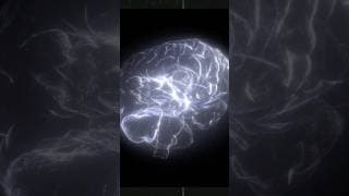 Et si tu pouvais remodeler le cerveau d’une IA 🧠 ?