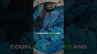 The #1 Reason Your Towels Smell Sour (Fix)