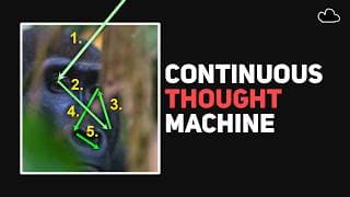 When AI Is Designed Like A Biological Brain