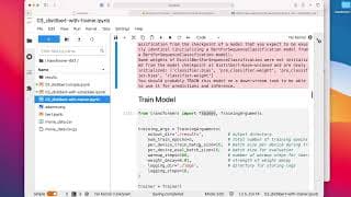 L19.6 DistilBert Movie Review Classifier in PyTorch -- Code Example