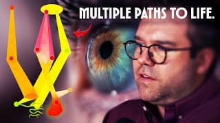 The Universal Hierarchy of Life - Prof. Chris Kempes [SFI]