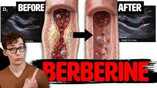 4 Months on Berberine: Reversing Arterial Plaque