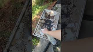 How I clean My BBQ grill in just a few easy steps!