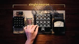 ChatGPT is made from 100 million of these [The Perceptron]