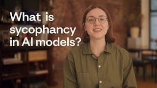 What is sycophancy in AI models?