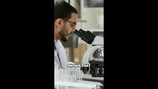 Why You Should Stop Eating Fried Foods