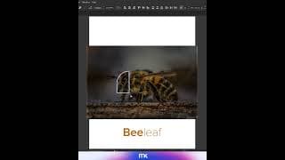 Logo in Illustrator - Bee + leaf