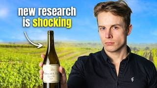 This New Study Changed How I Think About Alcohol & Health