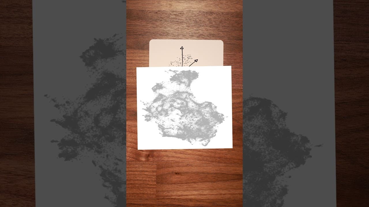 How AI models see the world.