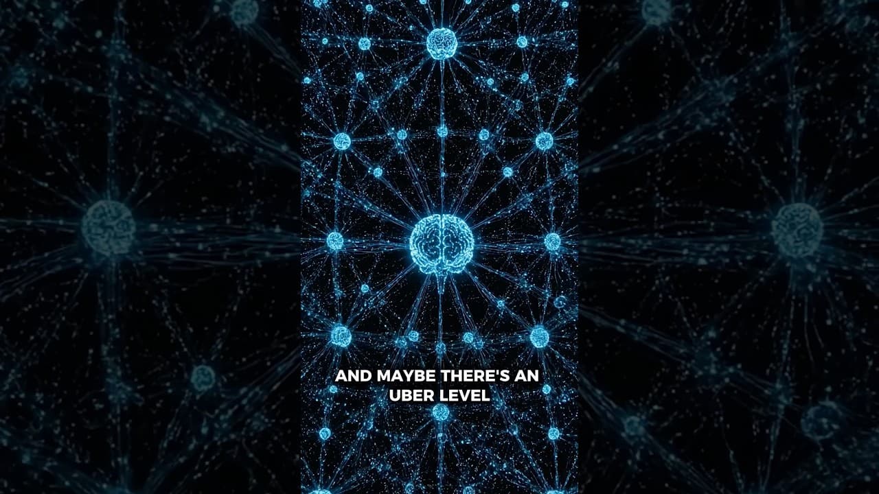 Could the entire universe be a conscious entity? #briangreene #consciousness #universe