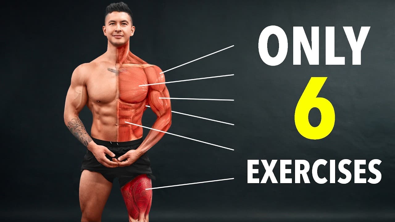 The #1 Full Body Routine to Build Muscle & Lose Fat