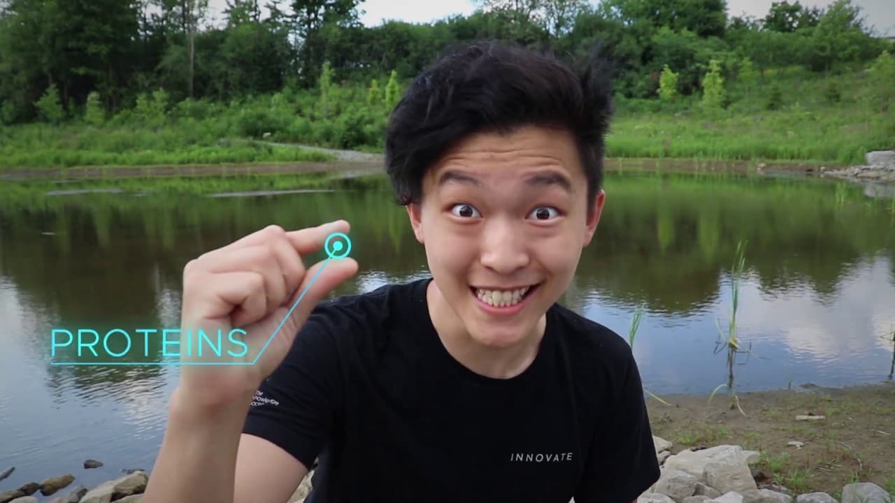 The Protein Folding Problem | Breakthrough Junior Challenge 2020 FINALIST