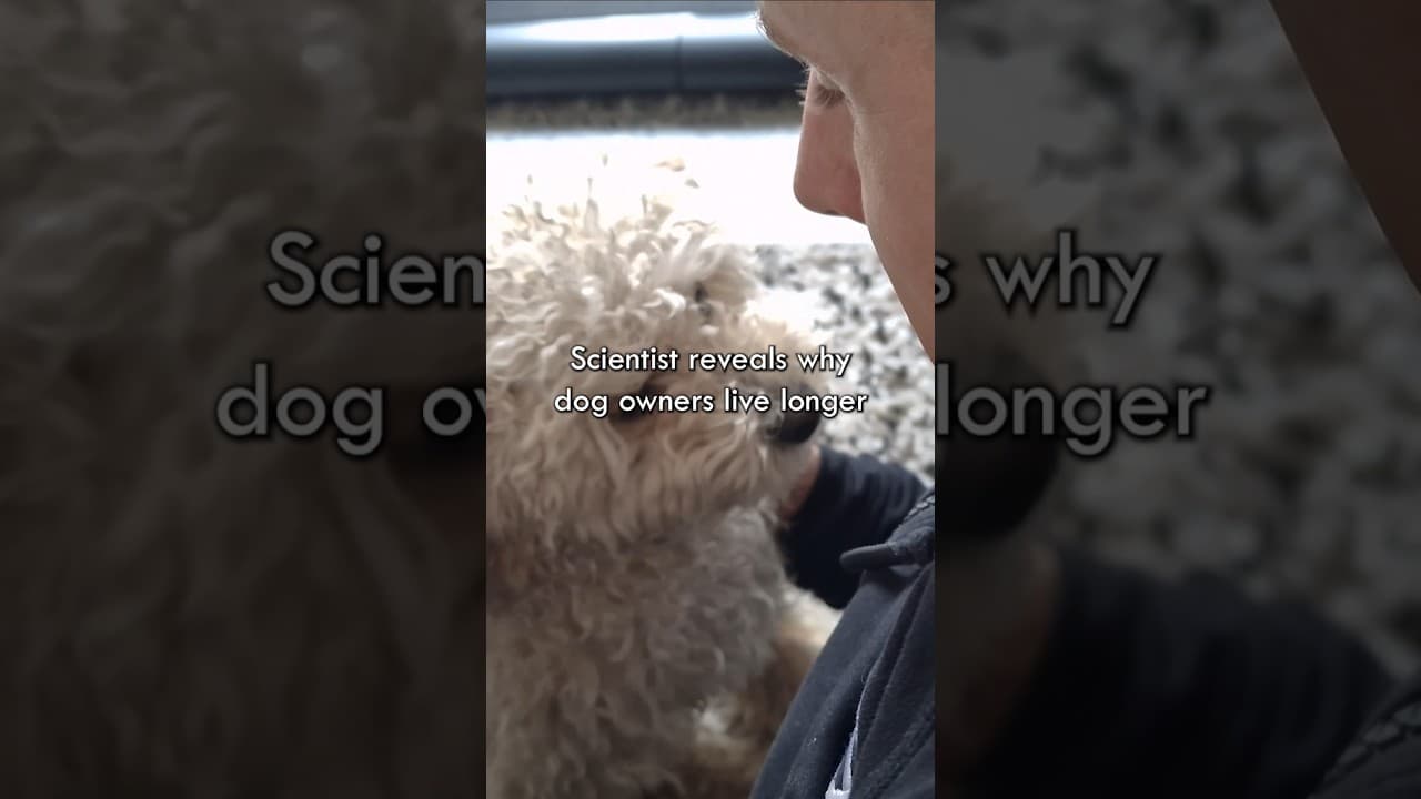 Scientist Explains Why Dog Owners Live Longer