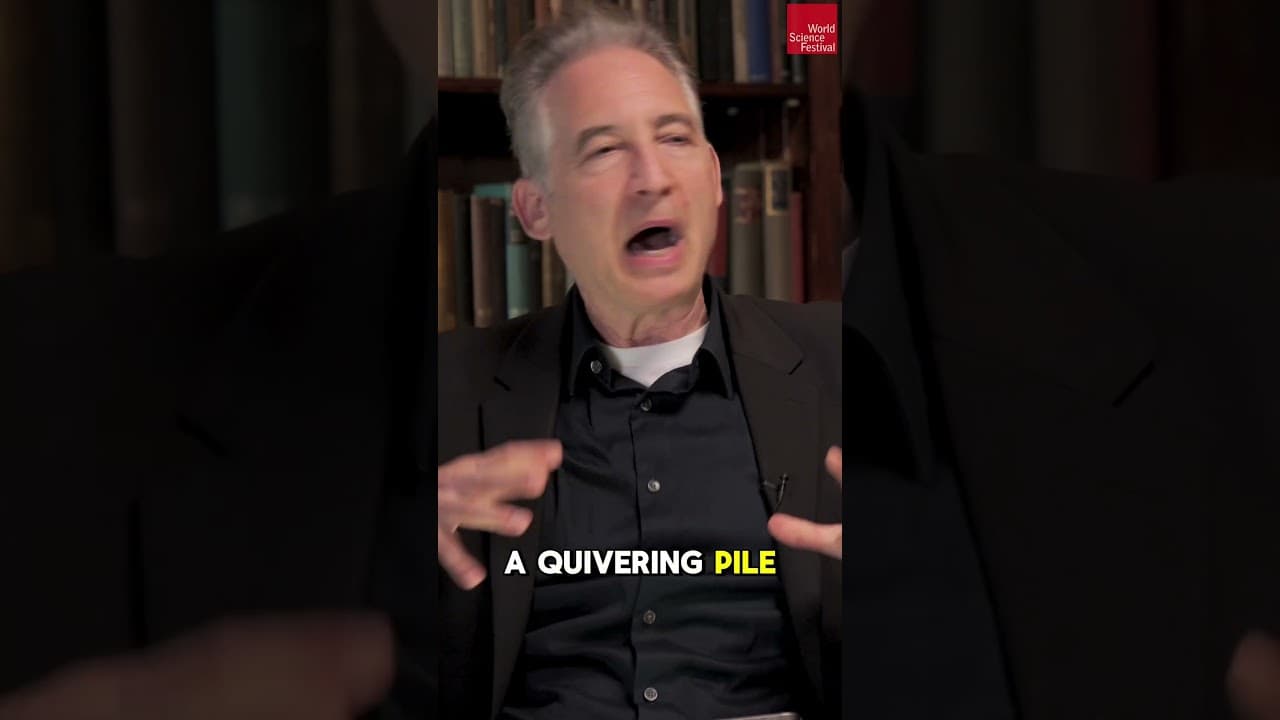 Is consciousness bigger than something physical? #consciousness #death #briangreene