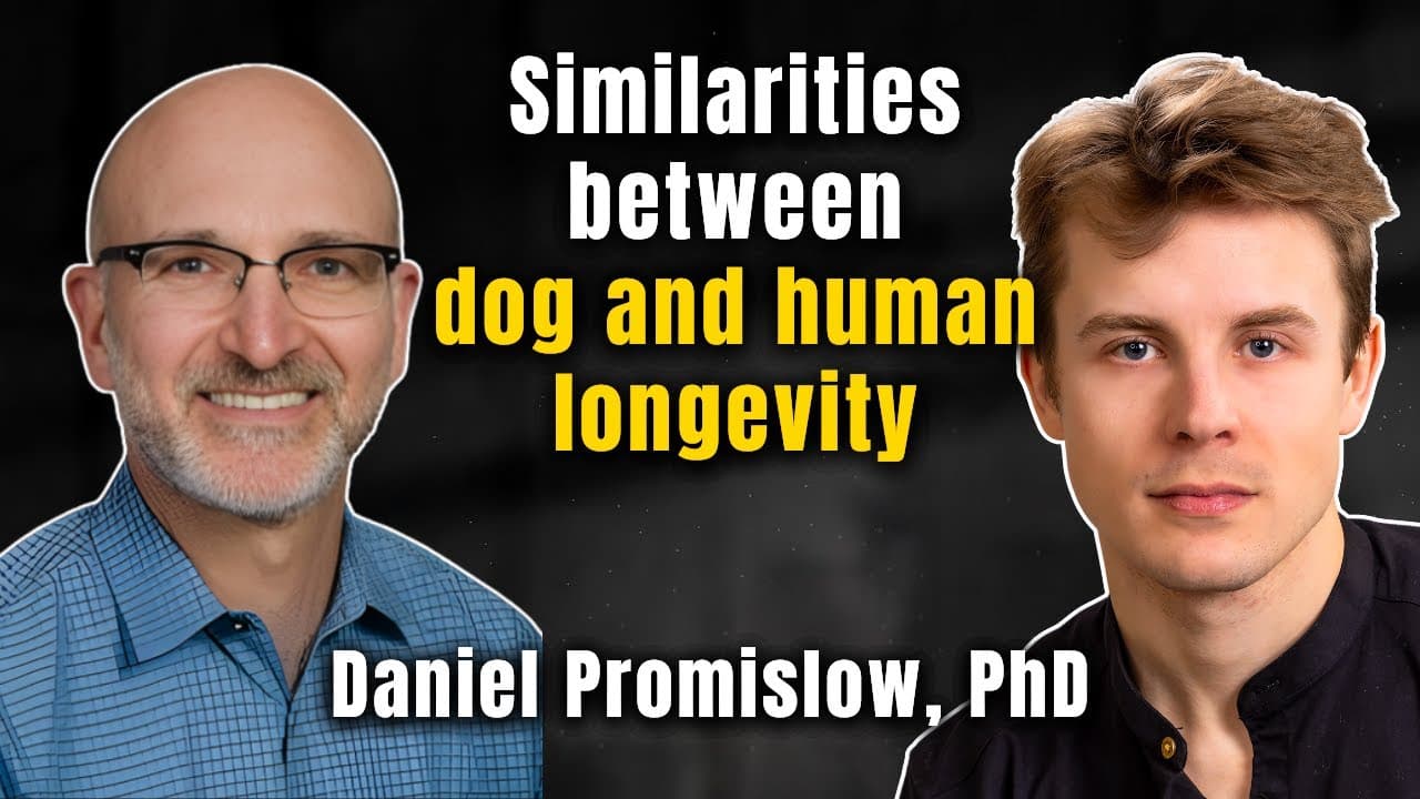 The Science of Dog Aging (And How to Slow It Down)