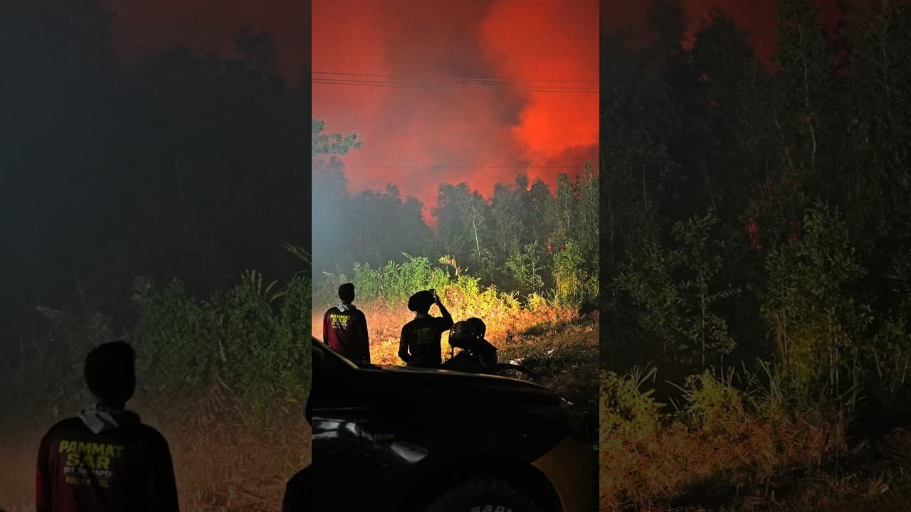 Toxic Haze Spreads Across Region as Indonesia Fires Rage
