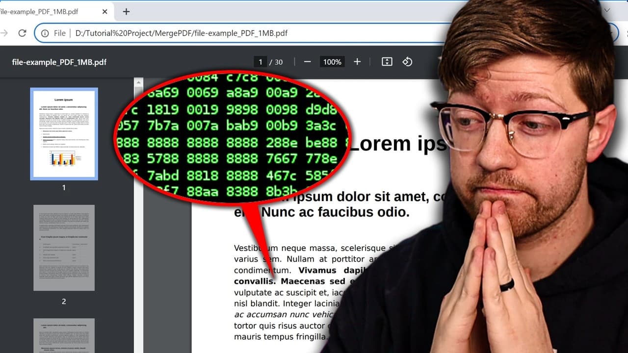 They're hacking PDFs now