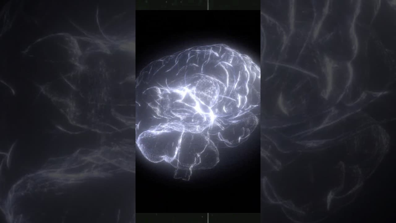 Et si tu pouvais remodeler le cerveau d’une IA 🧠 ?