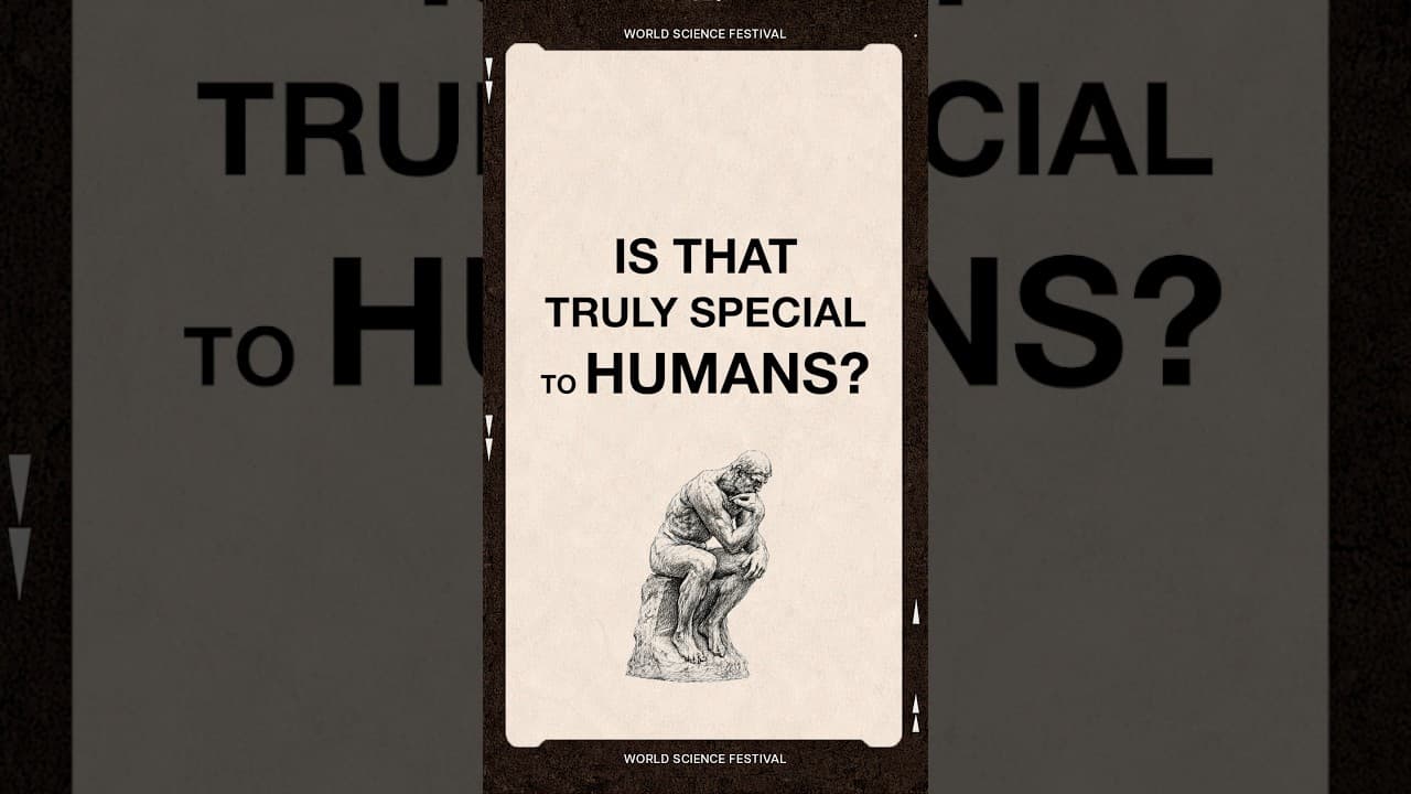 Can AI match human creativity? #briangreene #AI #artificialintelligence