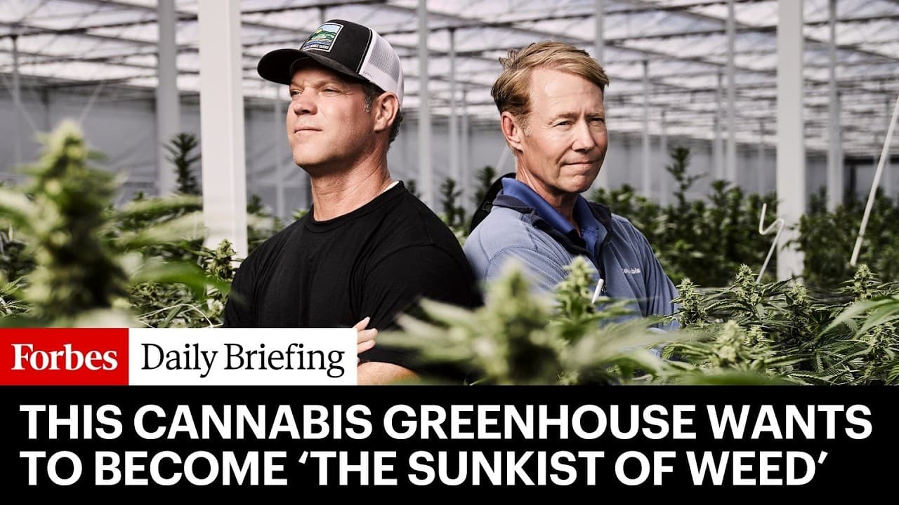 America’s Biggest Cannabis Greenhouse Wants To Become ‘The Sunkist Of Weed’