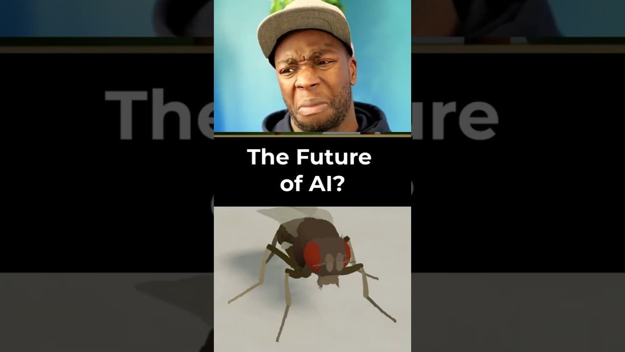 This 'Fly' Proves We've Been Building AI Wrong #AI #Science #Research
