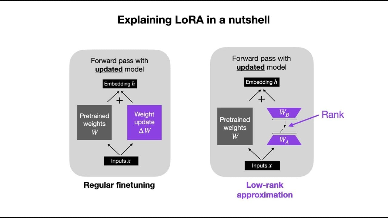 Insights from Finetuning LLMs with Low-Rank Adaptation