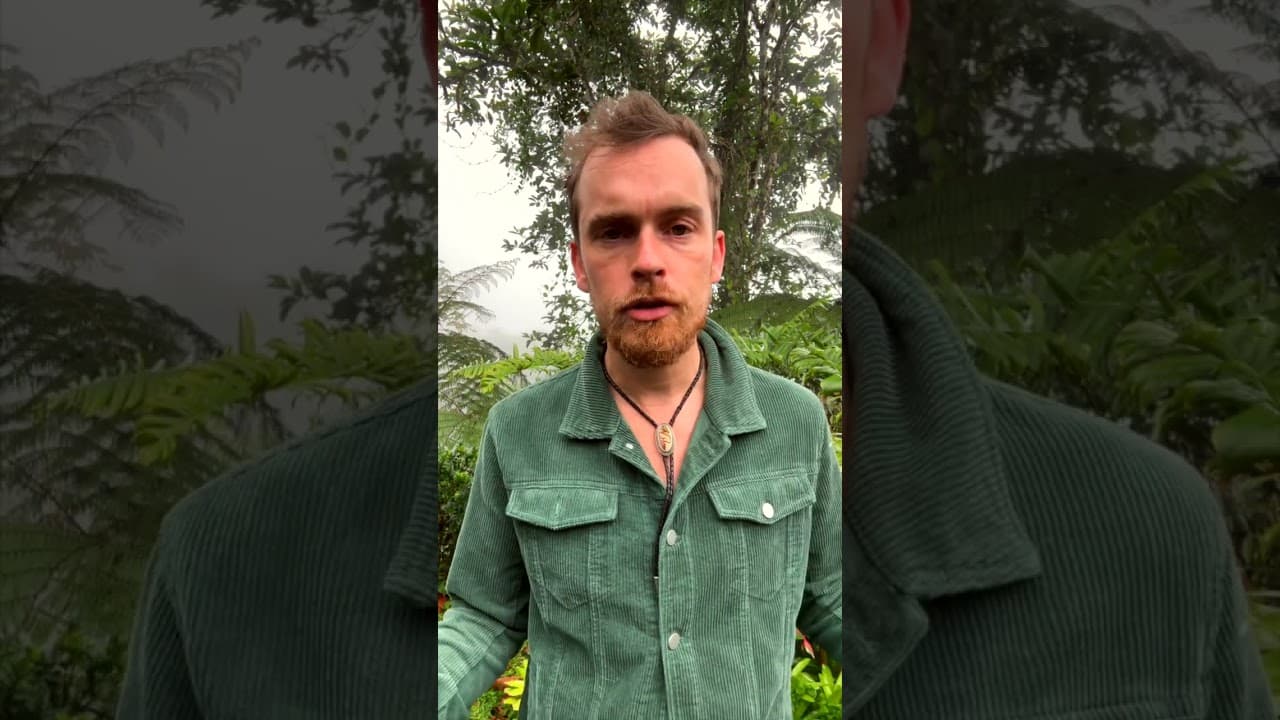 Try making better music