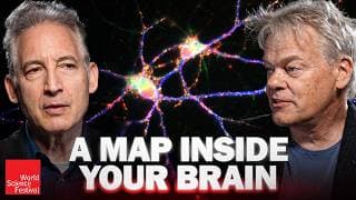 How Does Your Brain Know Where You Are? | World Science Festival
