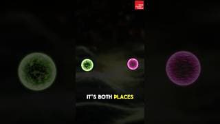 Can something be in two places at once?#physics #electrons #briangreene