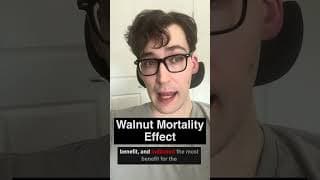 Walnut Mortality Effect