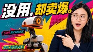 399美元机器鸭为什么卖爆?Hugging Face Microduck真正便宜的是“失败”